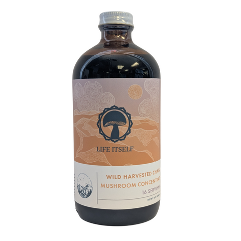 Wild Chaga Mushroom Concentrate