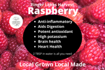 Raspberry Shrub - 8oz