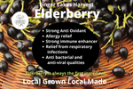 Elderberry Shrub Tonic - 8oz